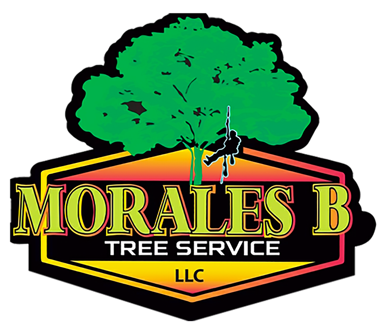 MORALES BROTHERS TREE SERVICES LLC 1 e1736870201291