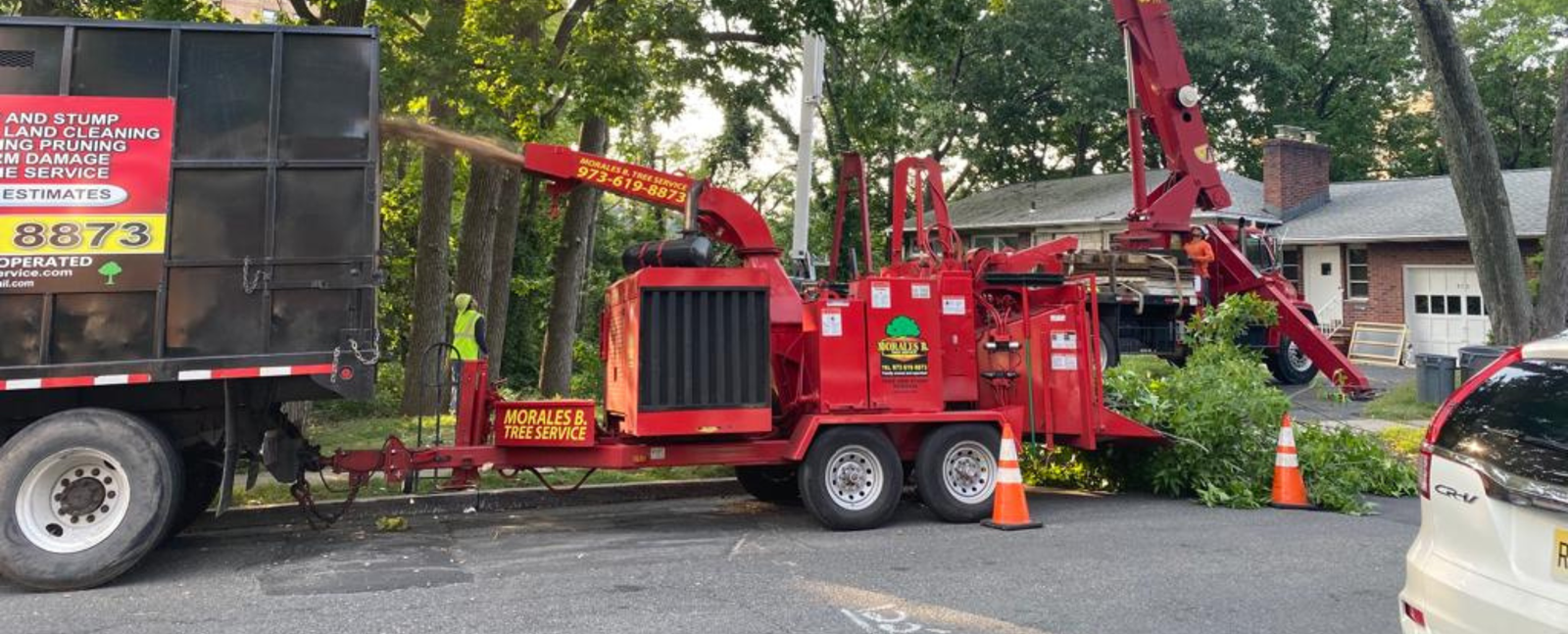 Morales brothers tree service